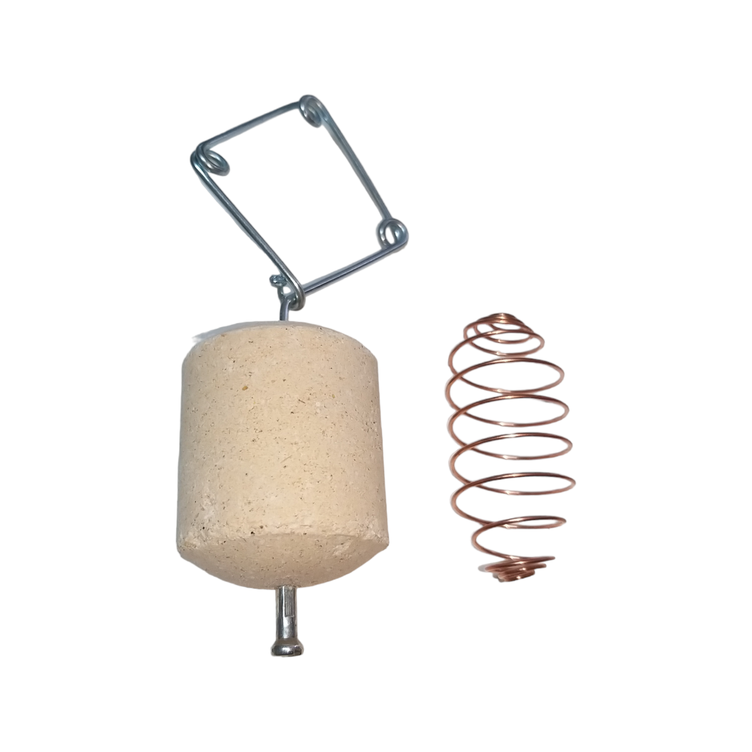 PhotoRoom-20230818_120216