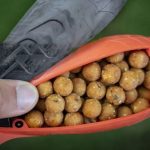 -1088257173-2146686221