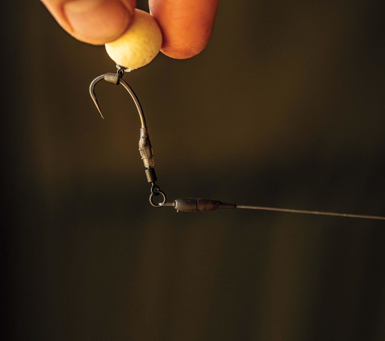 spro-243-01-image-main