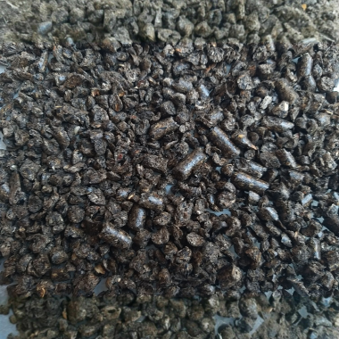 Гранулы Жирного Подсолнуха 1 кг.